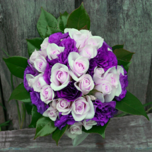 Jasmin